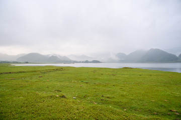 手握5万要买大众？
